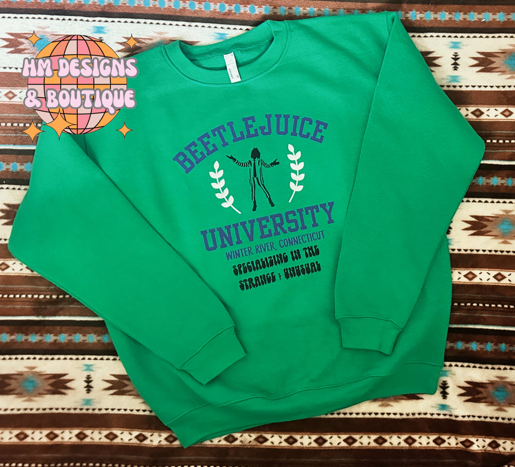 Beetlejuice University Pullover